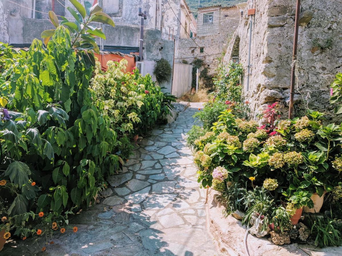 Traditional Apartment